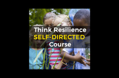 Think Resilience Self-Directed Course